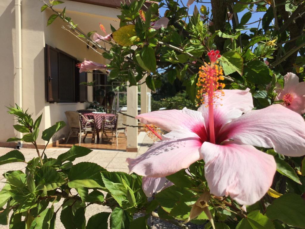 Villa Ro Porto Columbu - Perd'E Sali Luaran gambar